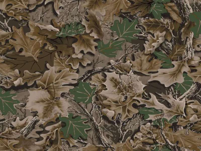 karper camouflage 1