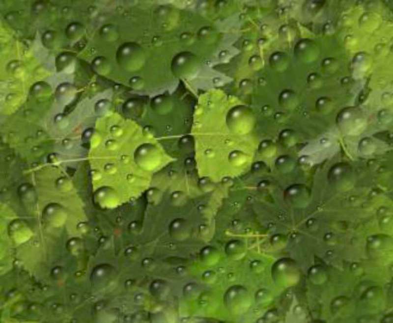 karpers camouflage 2