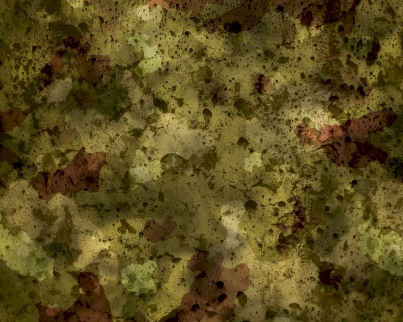 karpervissen camouflage 3